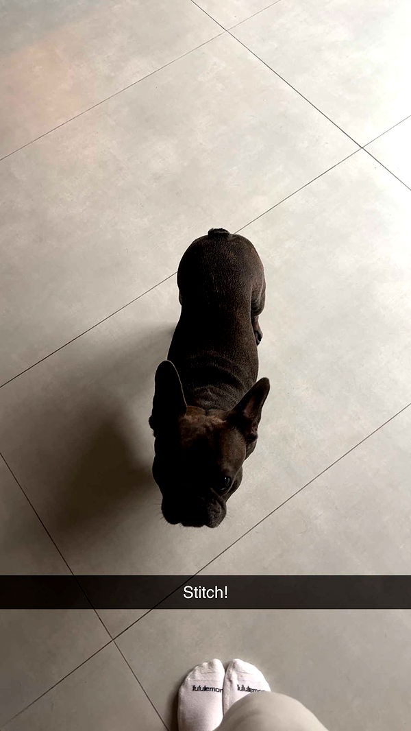 kylaayese image ~ Altpins