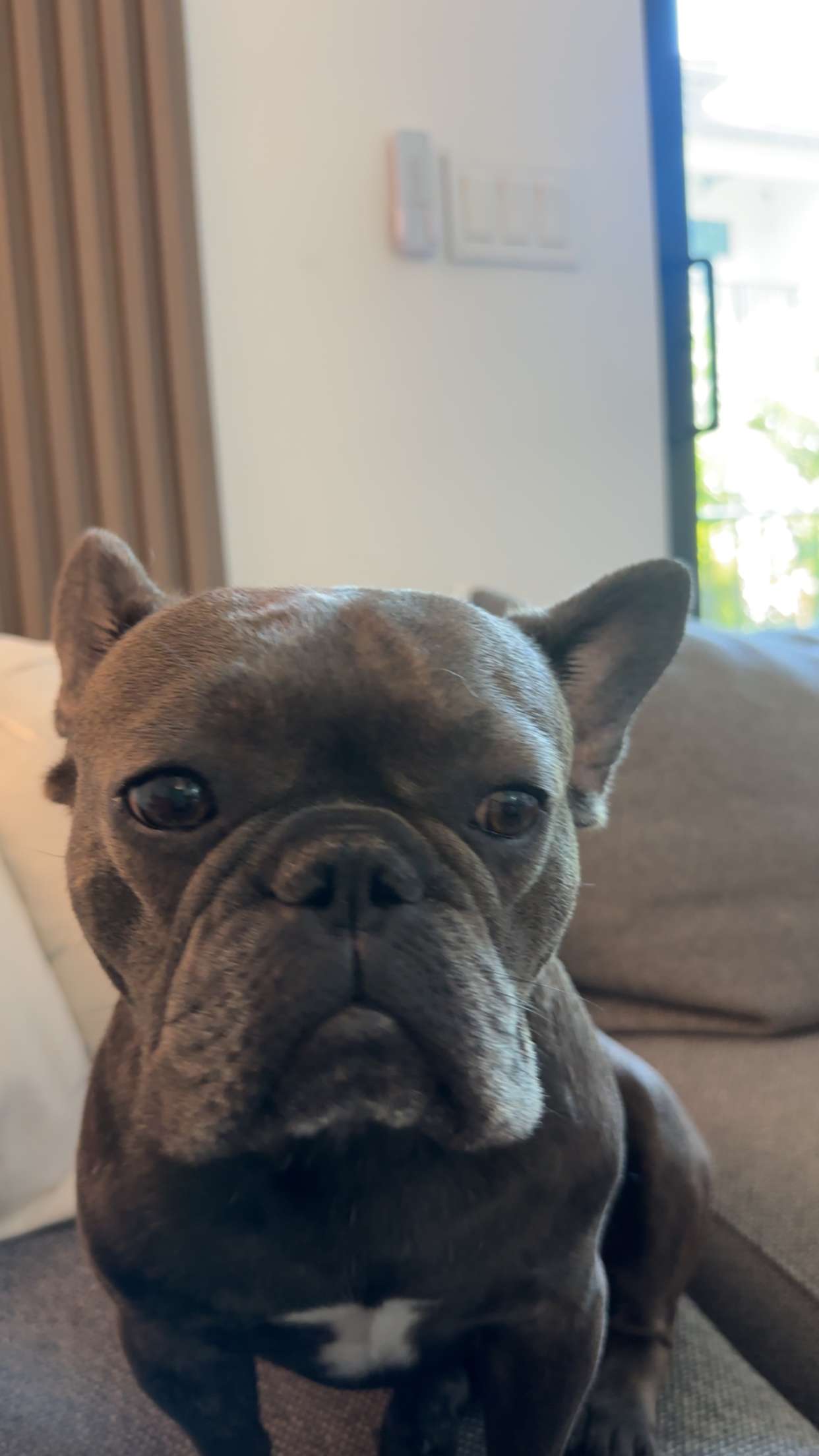 kylaayese snapchat image archive image