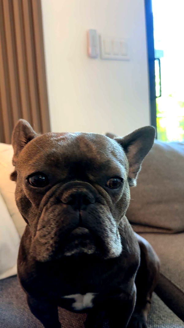 kylaayese image ~ Altpins