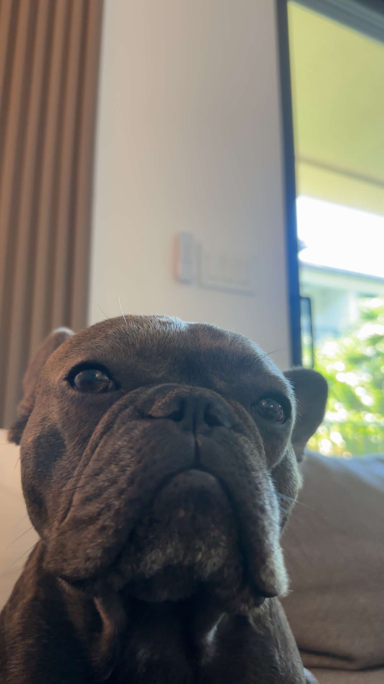 kylaayese snapchat image archive image