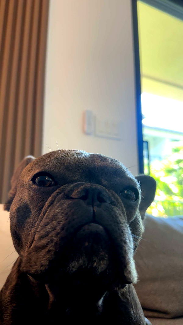 kylaayese image ~ Altpins