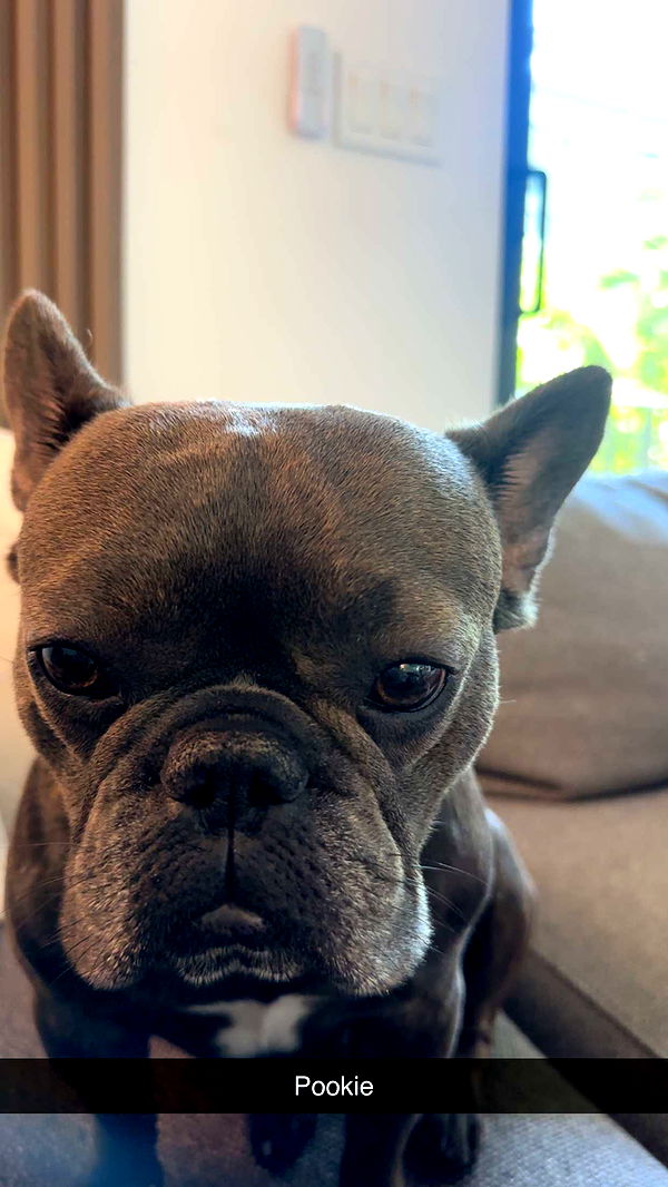 kylaayese image ~ Altpins