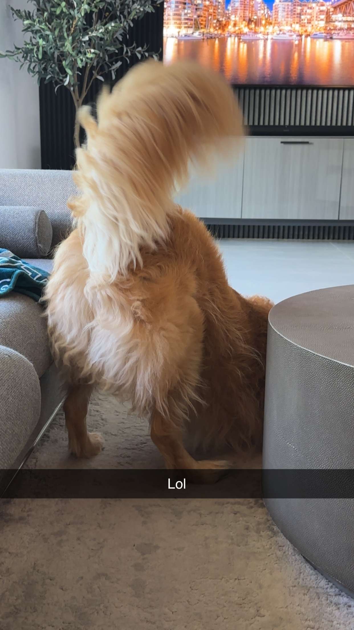 kylaayese snapchat image archive image