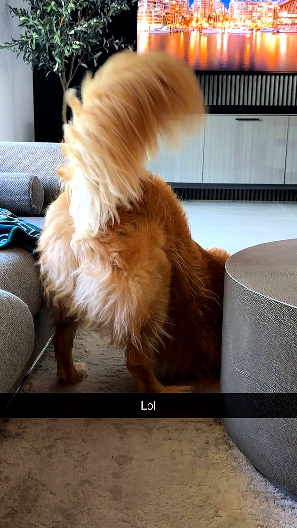 kylaayese image ~ Altpins