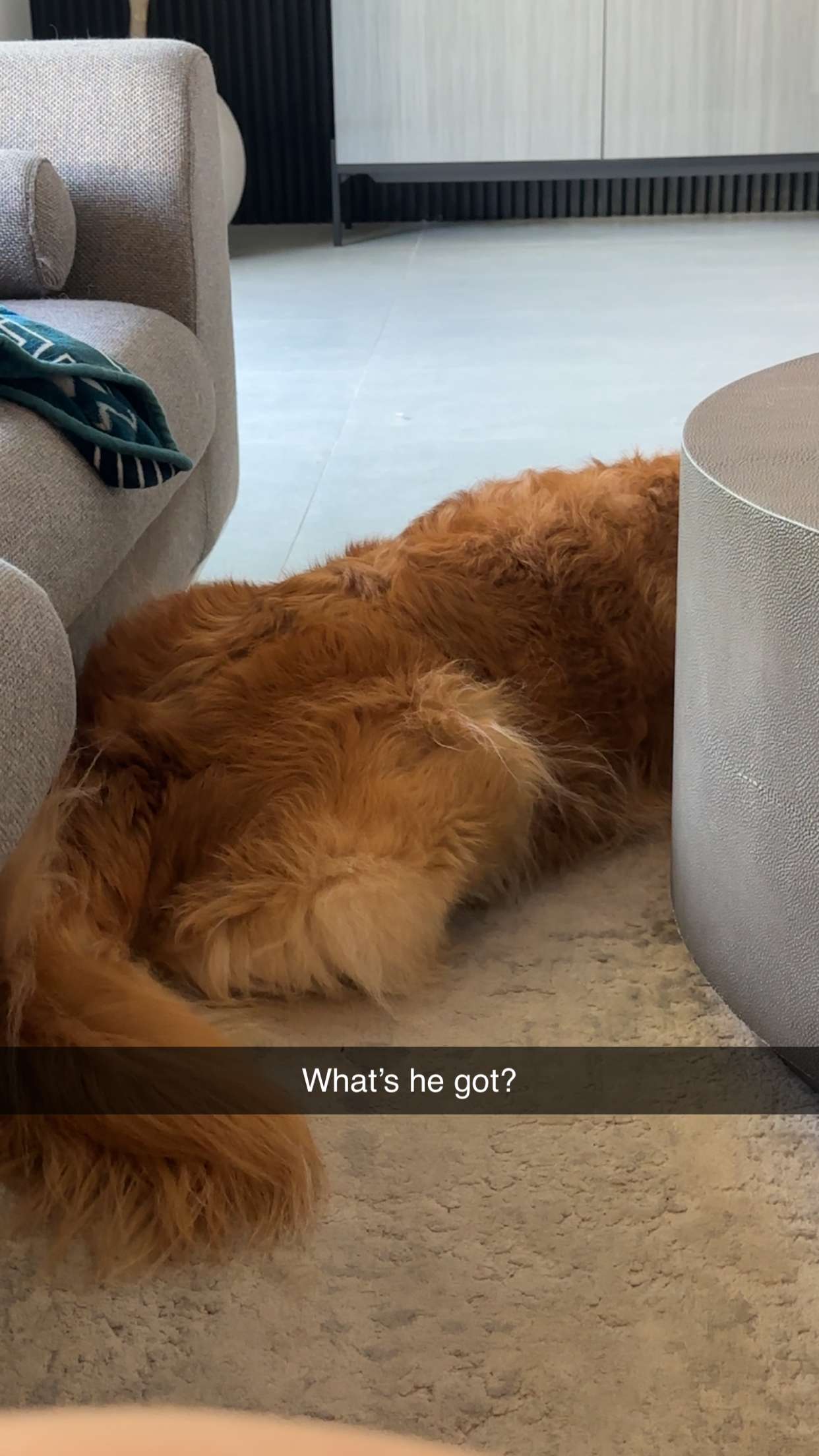 kylaayese snapchat image archive image