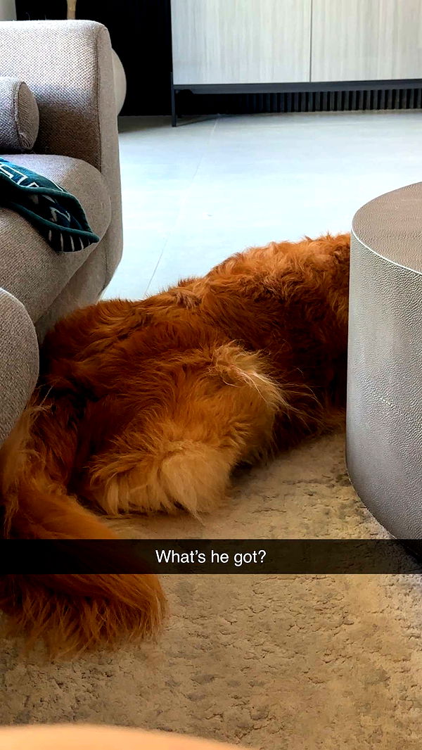 kylaayese image ~ Altpins