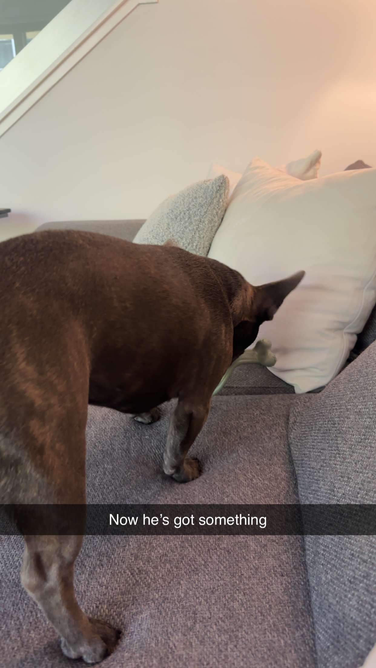 kylaayese snapchat image archive image