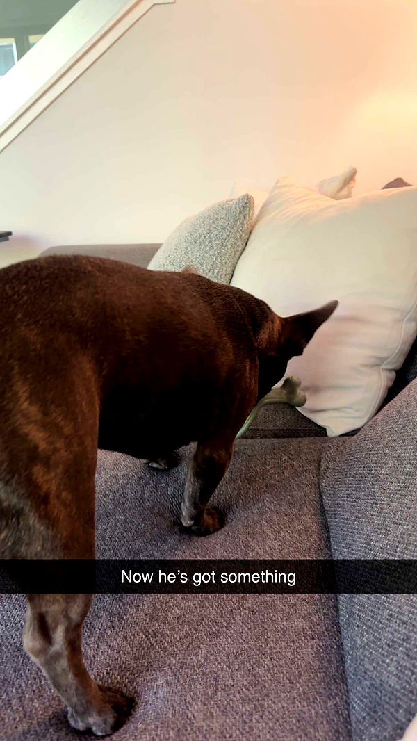 kylaayese image ~ Altpins