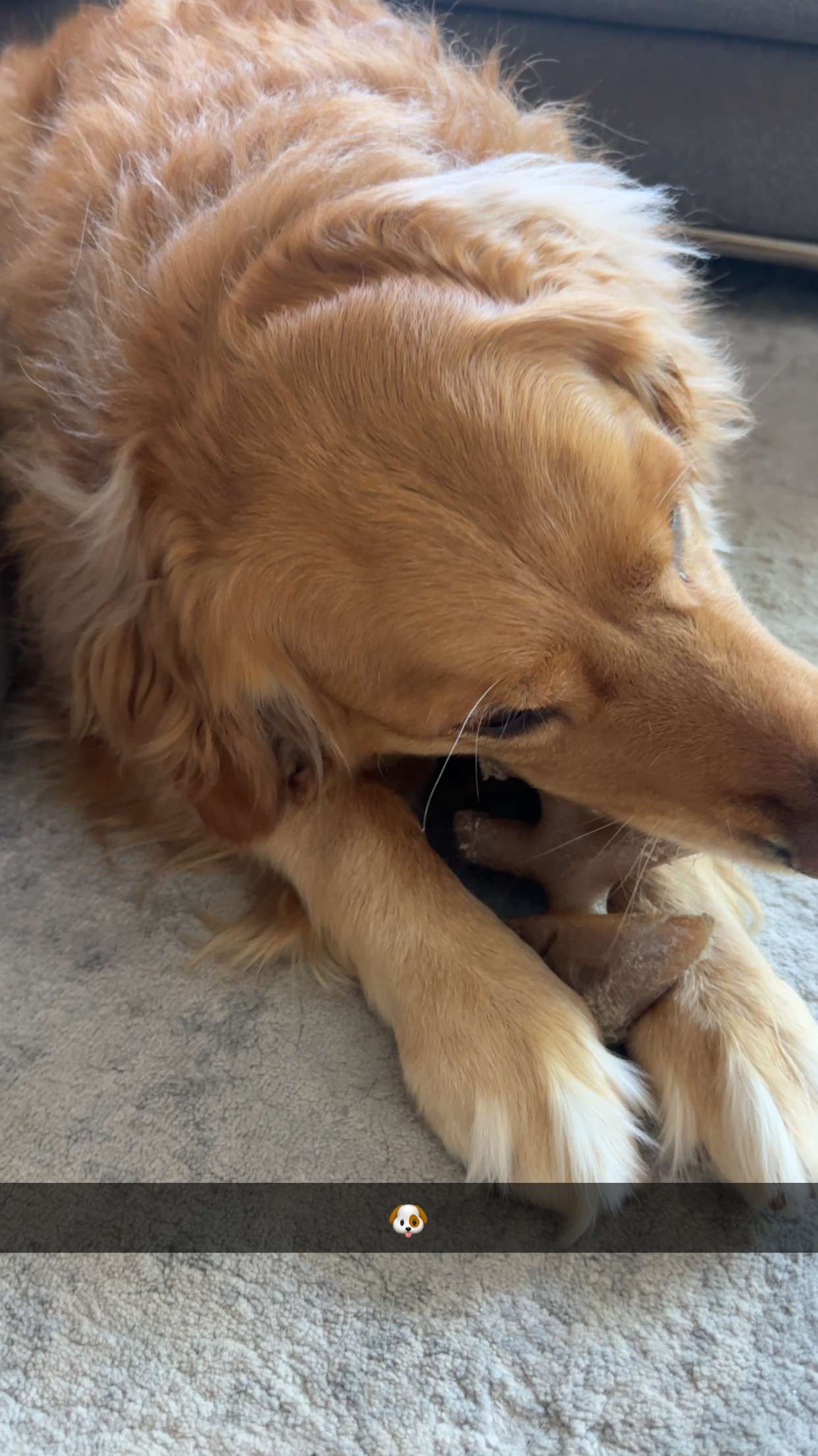 kylaayese snapchat image archive image