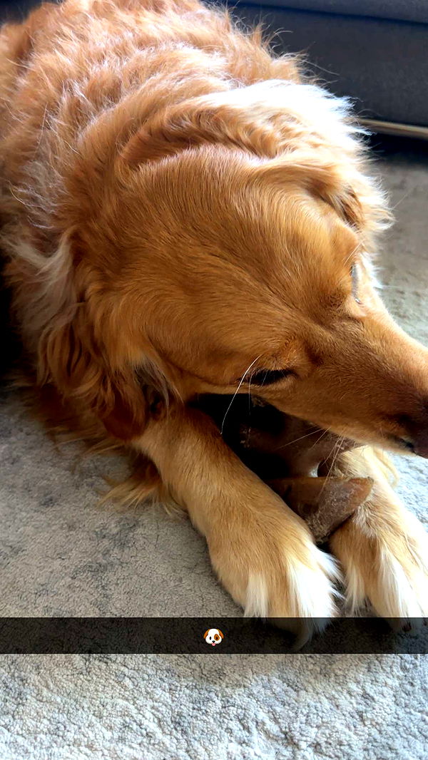 kylaayese image ~ Altpins