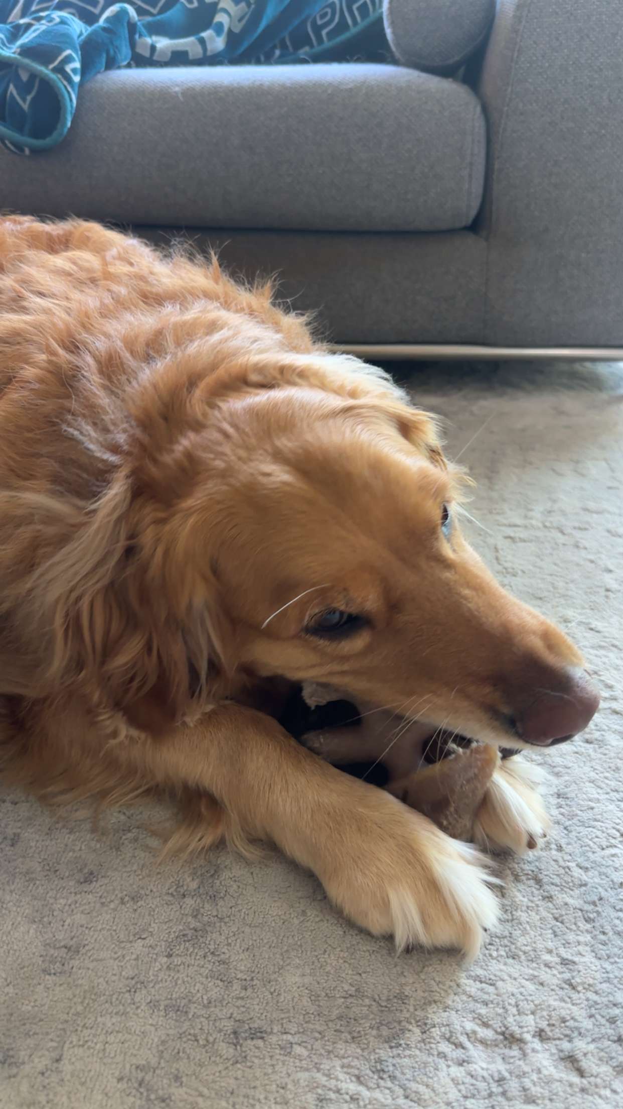 kylaayese snapchat image archive image