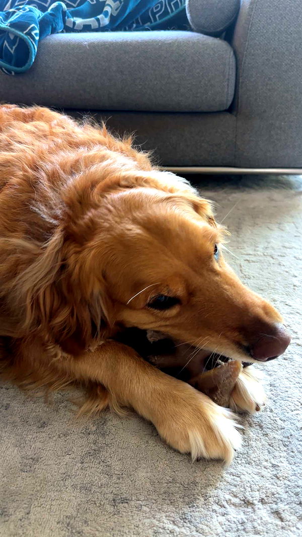 kylaayese image ~ Altpins