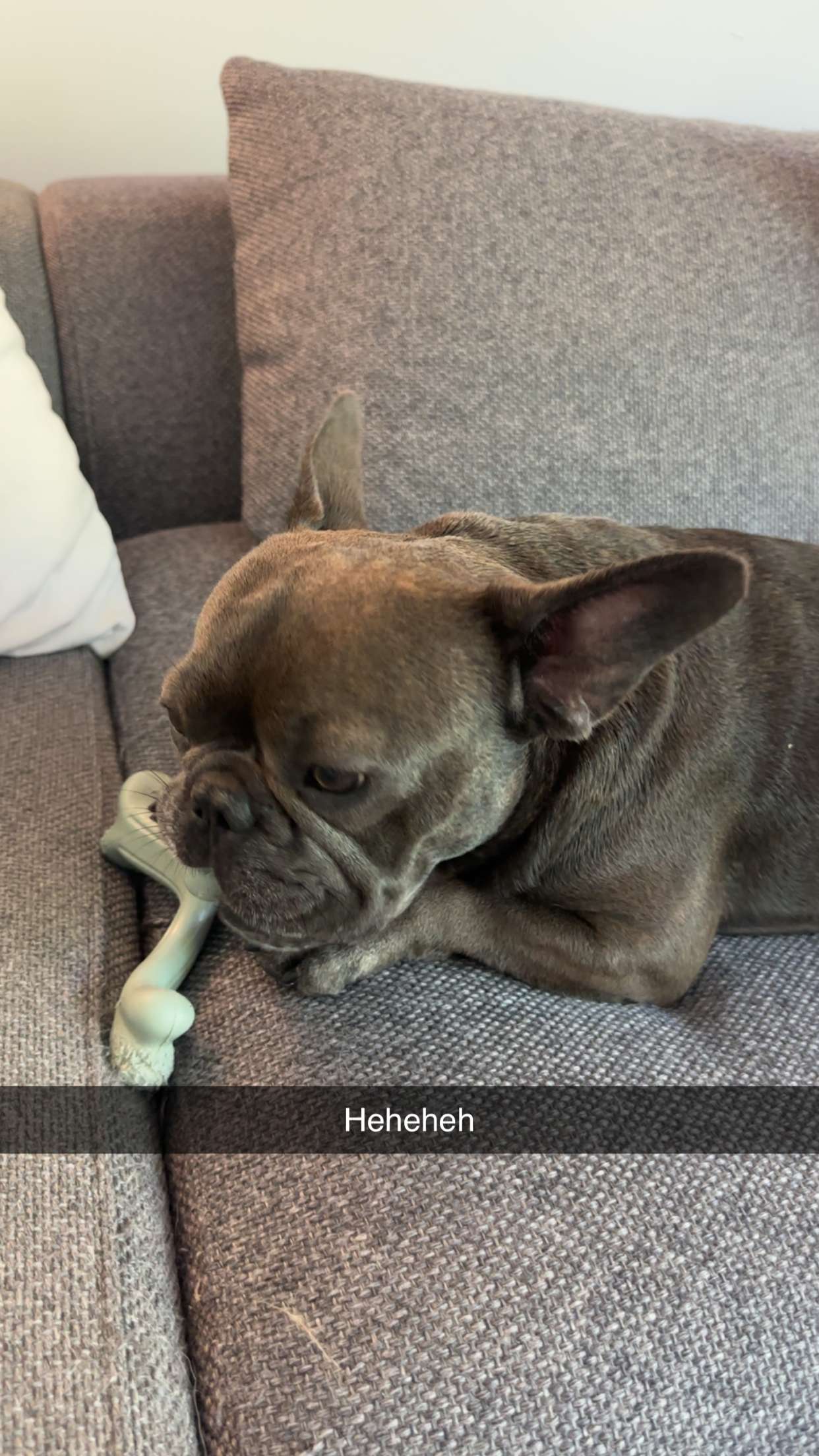 kylaayese snapchat image archive image