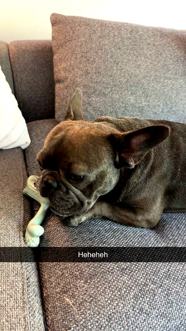 kylaayese image ~ Altpins