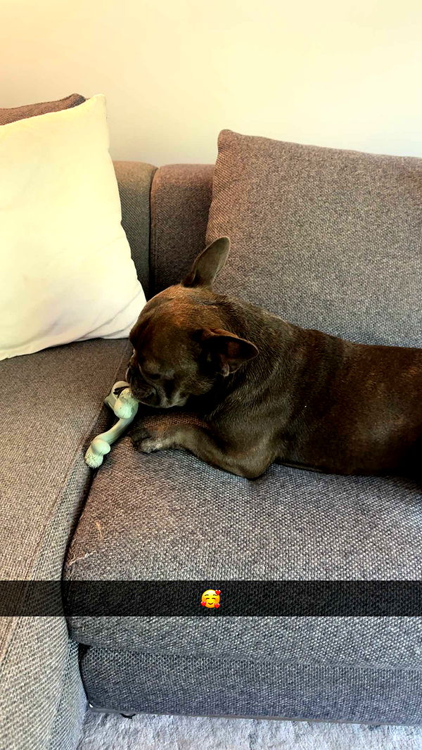 kylaayese image ~ Altpins