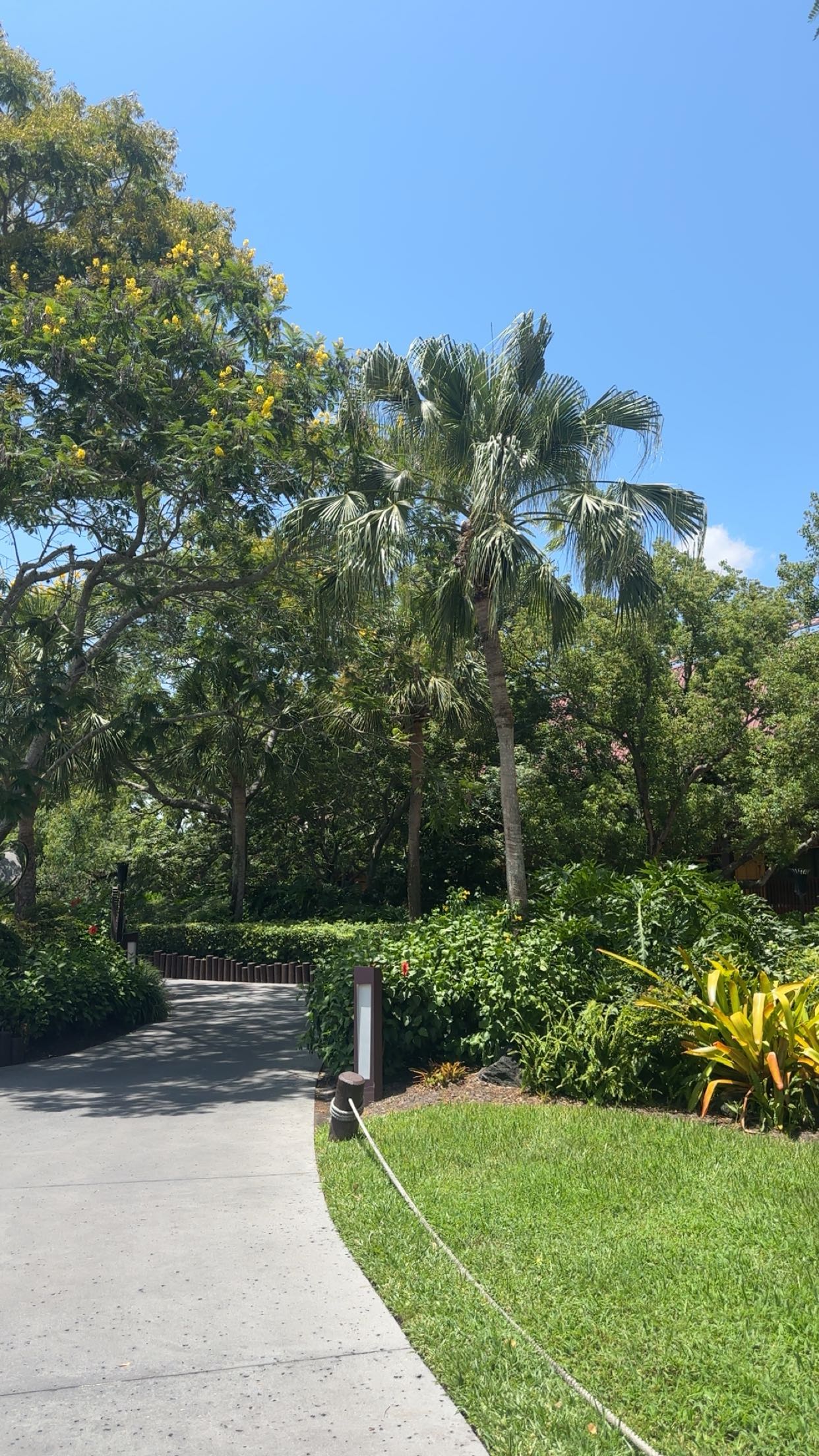 kylaayese snapchat image archive image