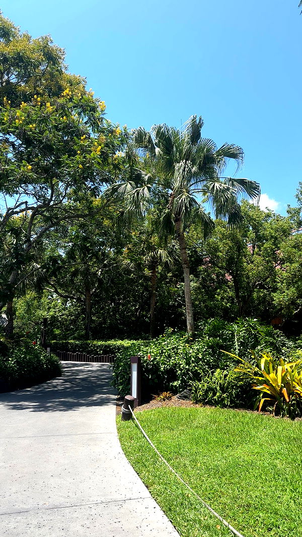 kylaayese image ~ Altpins