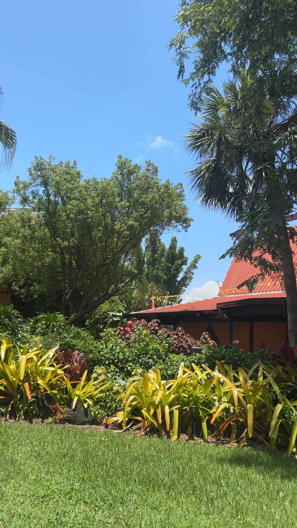 kylaayese snapchat image archive image