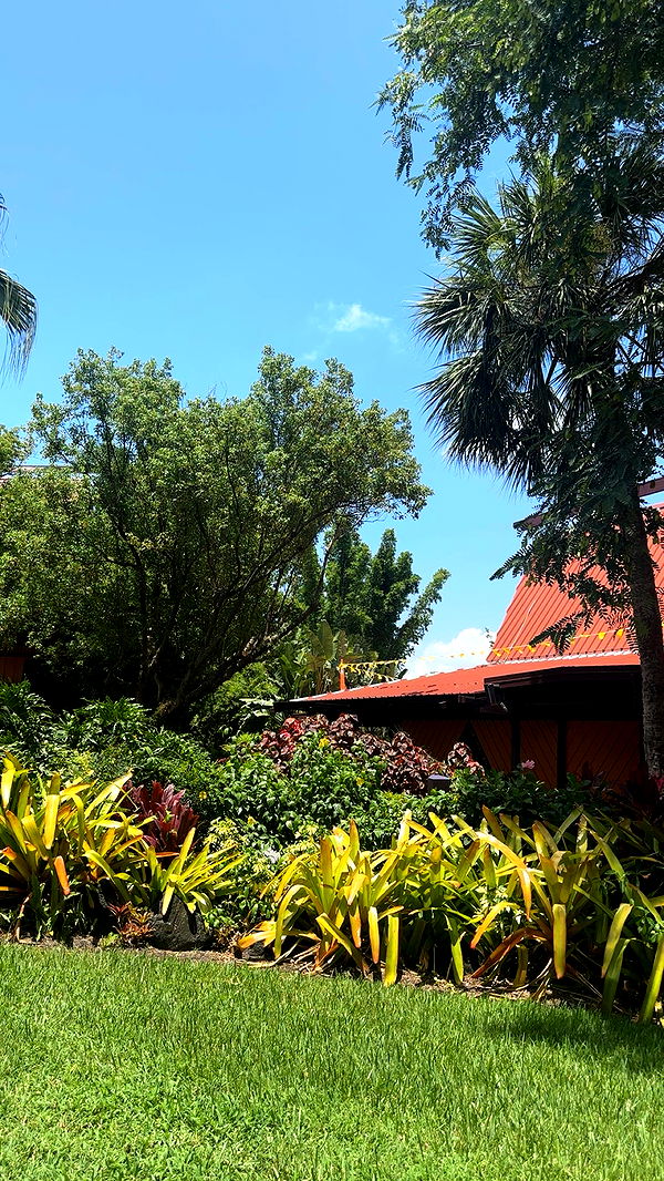 kylaayese image ~ Altpins