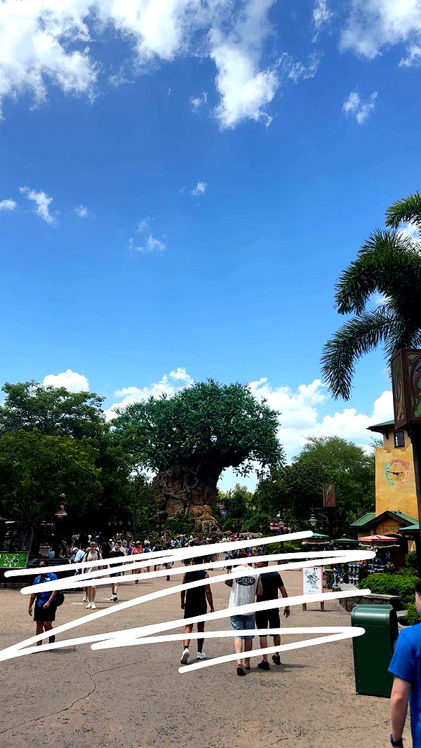 kylaayese image ~ Altpins