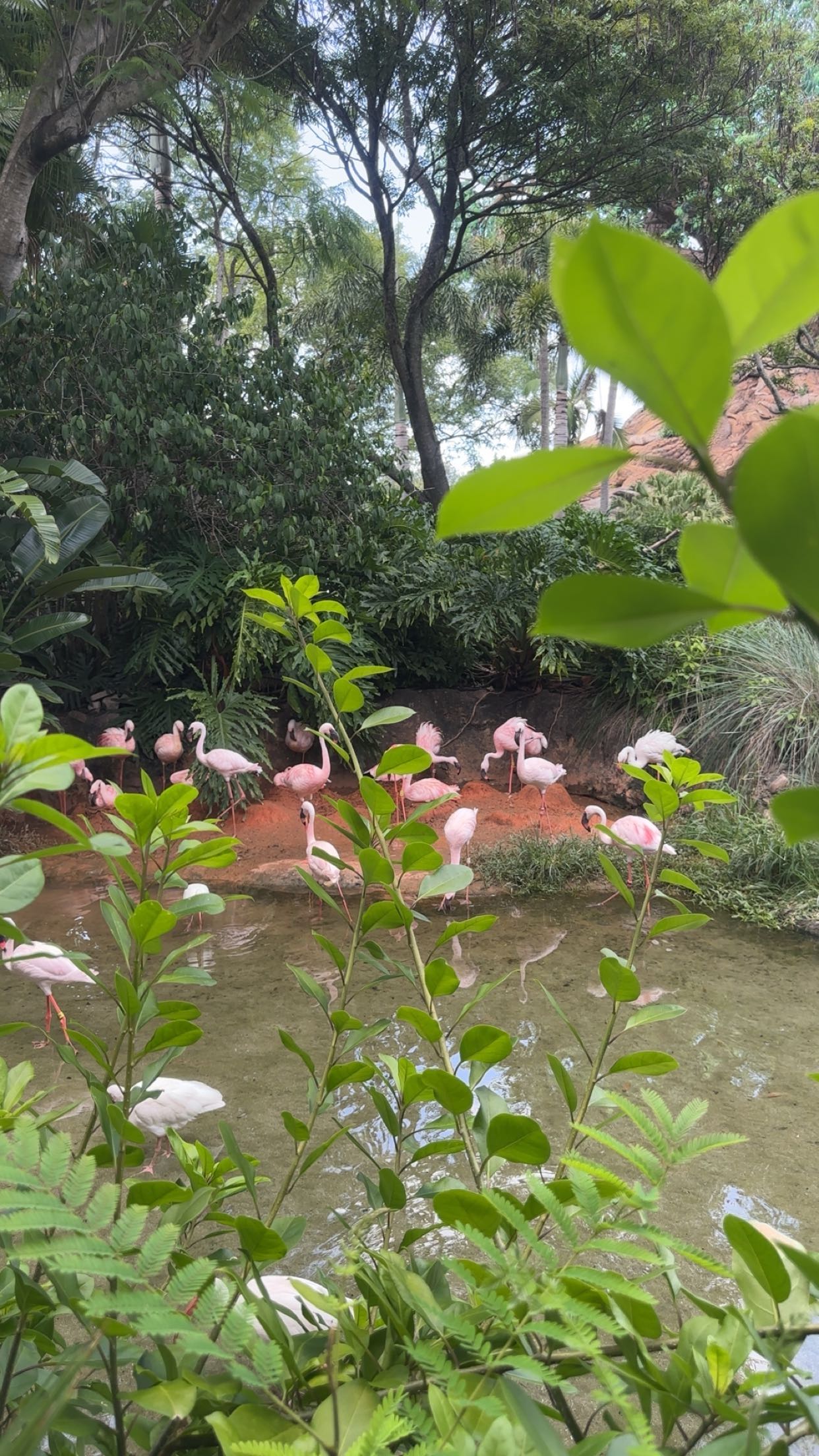 kylaayese snapchat image archive image