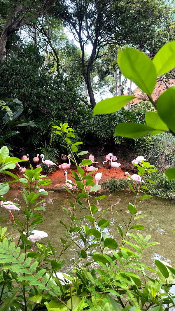 kylaayese image ~ Altpins