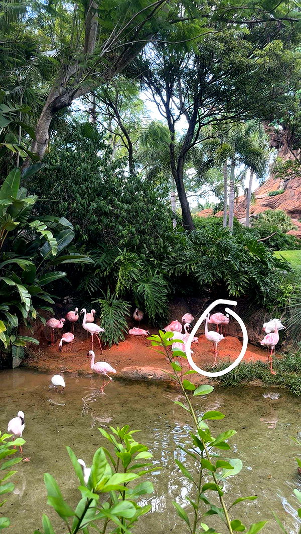 kylaayese image ~ Altpins