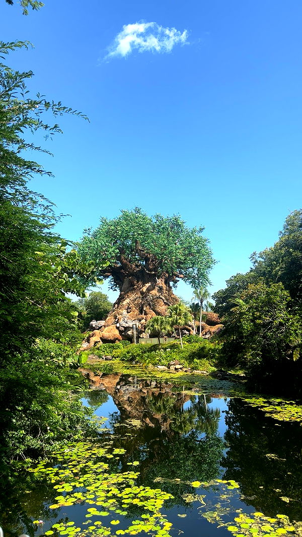 kylaayese image ~ Altpins