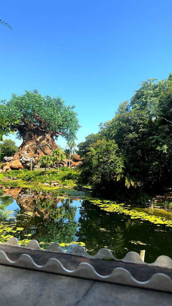 kylaayese image ~ Altpins