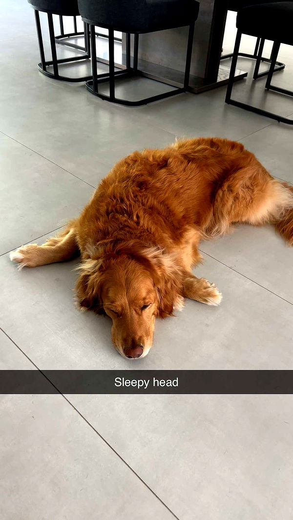 kylaayese image ~ Altpins