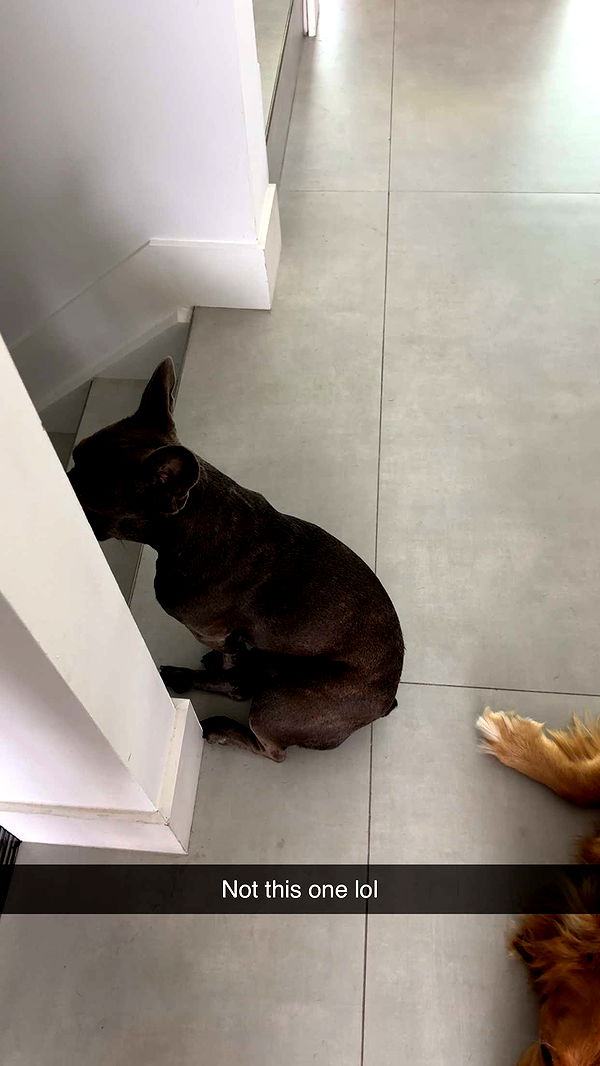 kylaayese image ~ Altpins