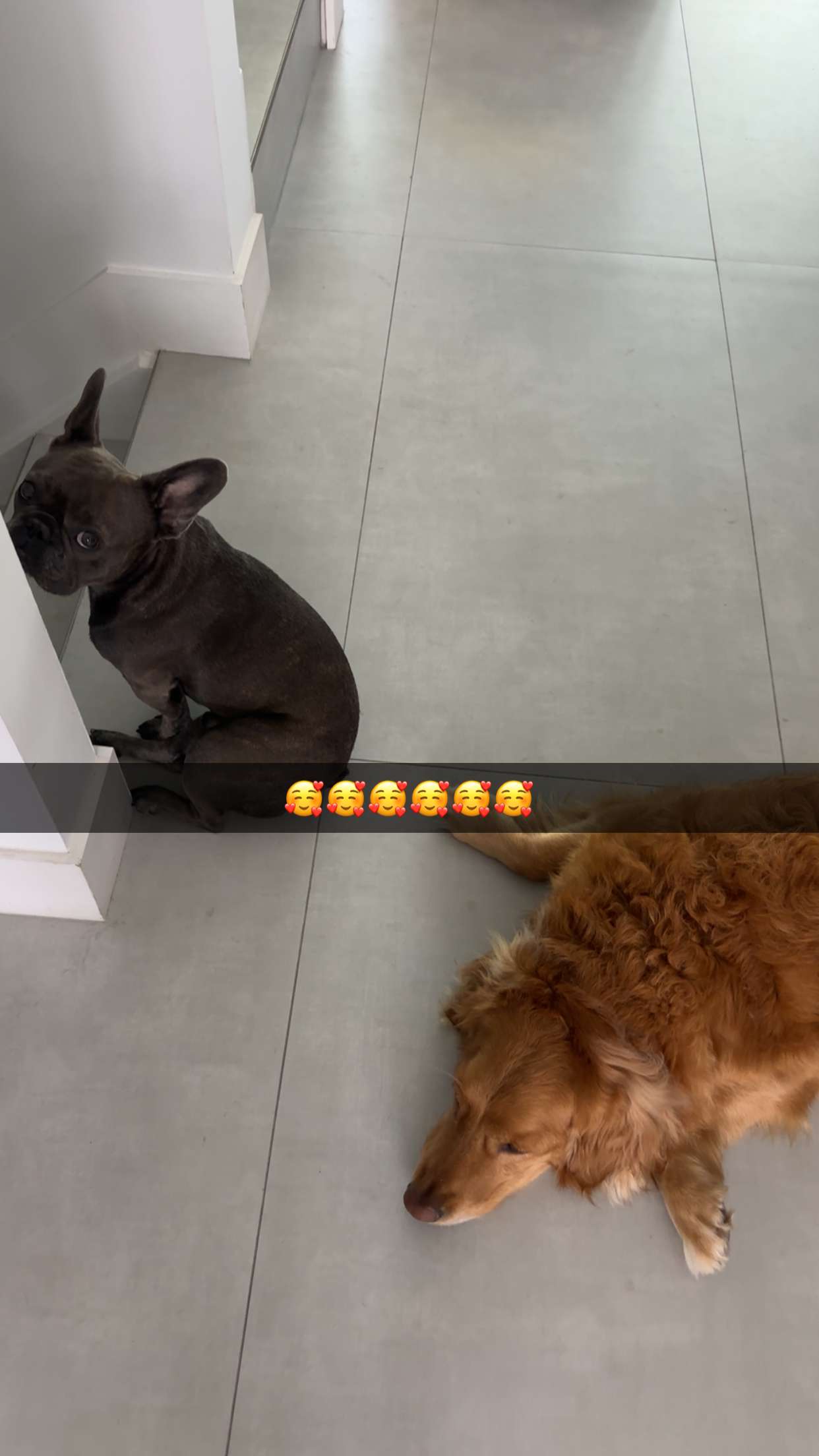 kylaayese snapchat image archive image