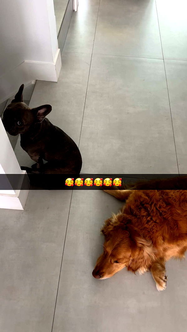 kylaayese image ~ Altpins