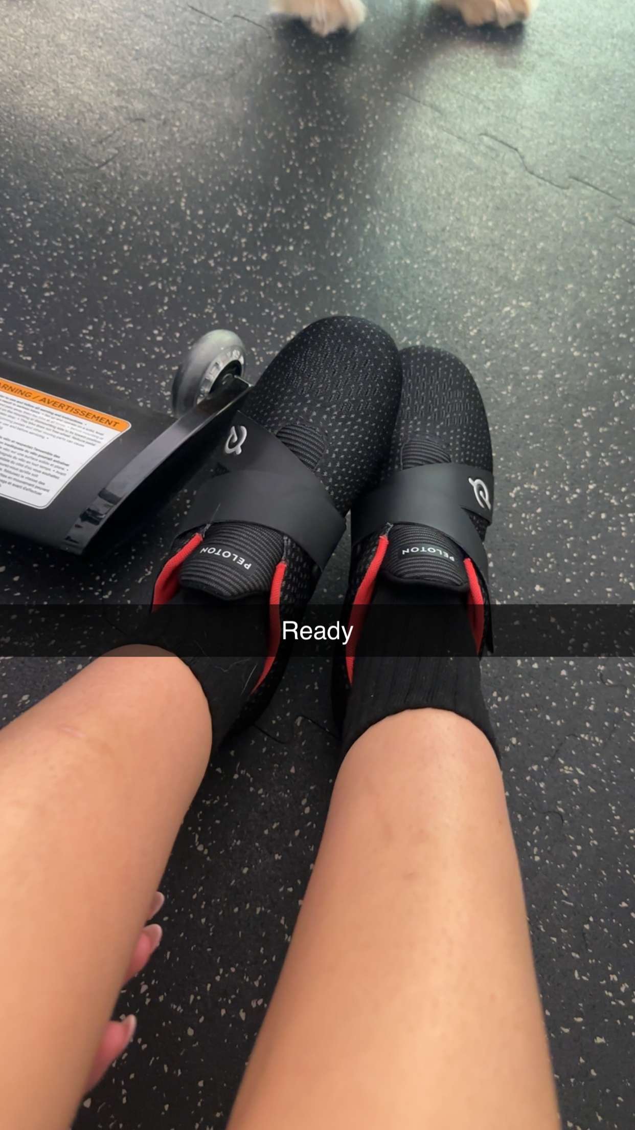 kylaayese snapchat image archive image