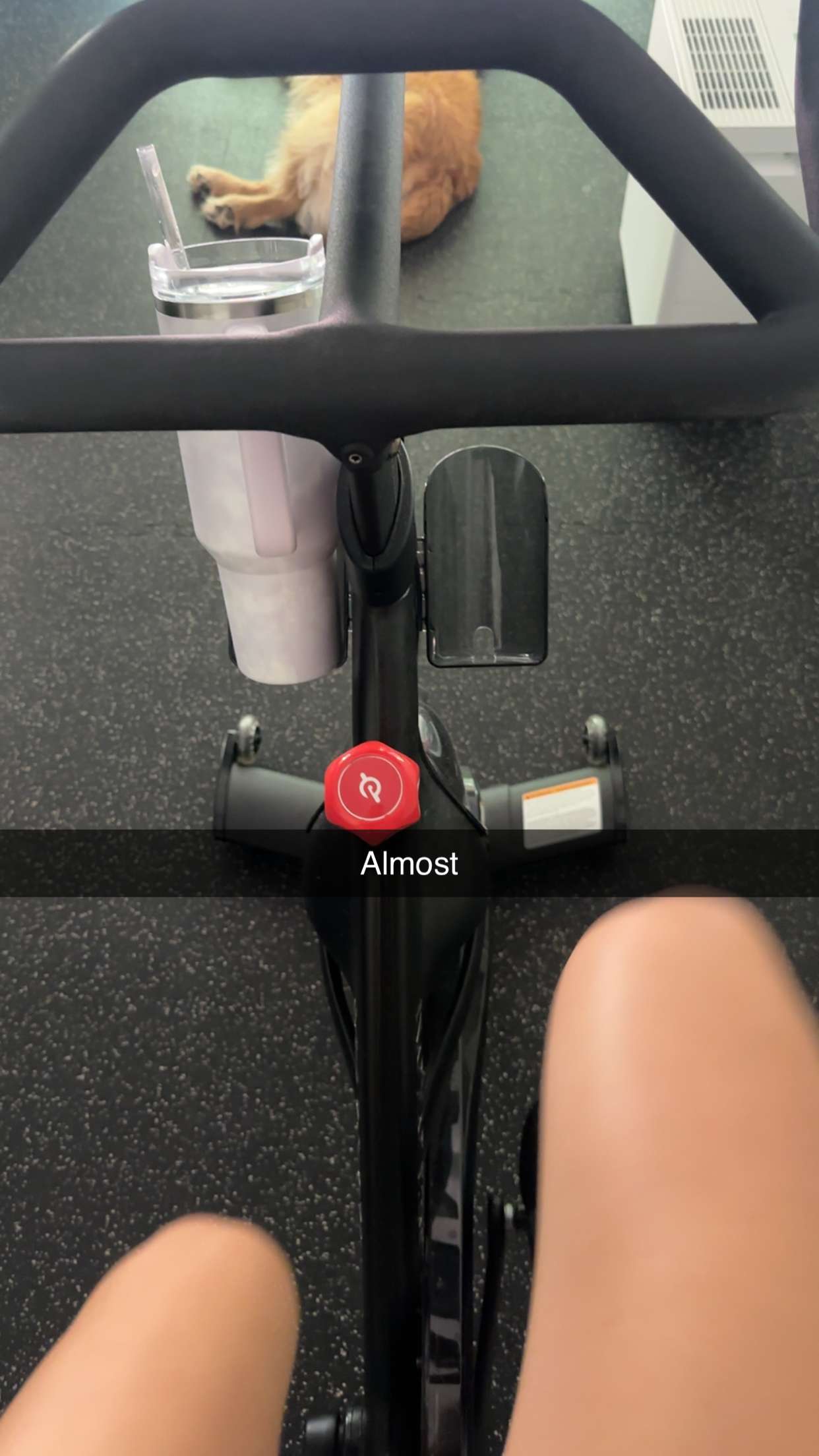 kylaayese snapchat image archive image