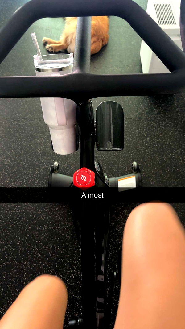 kylaayese image ~ Altpins