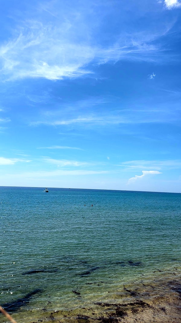 kylaayese image ~ Altpins