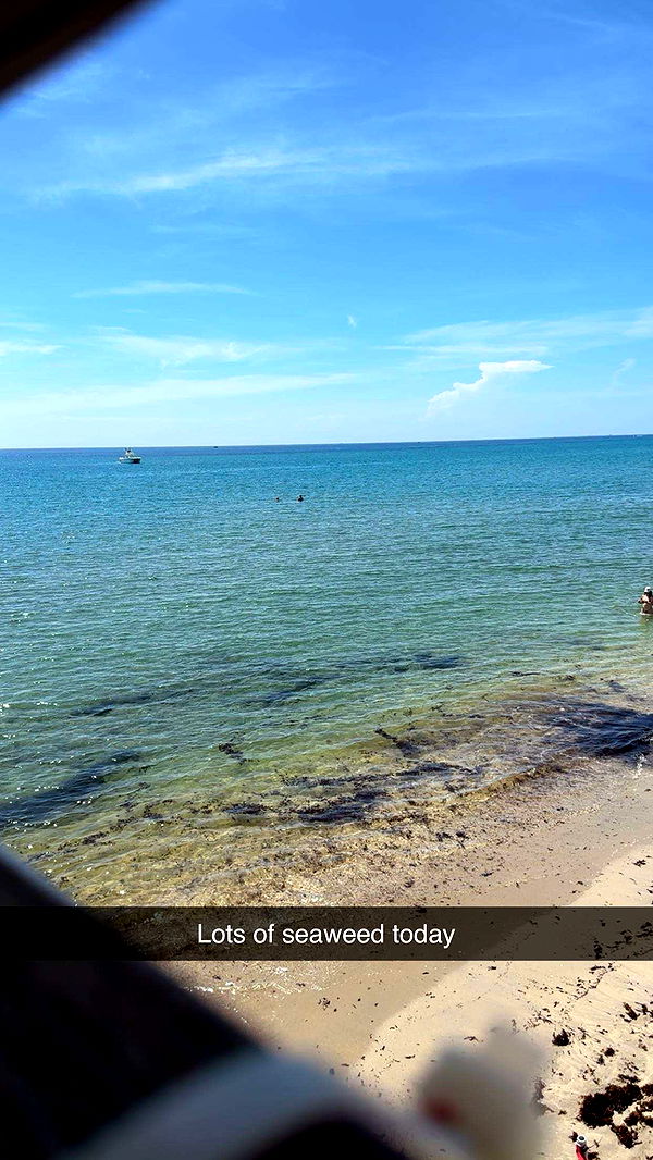 kylaayese image ~ Altpins