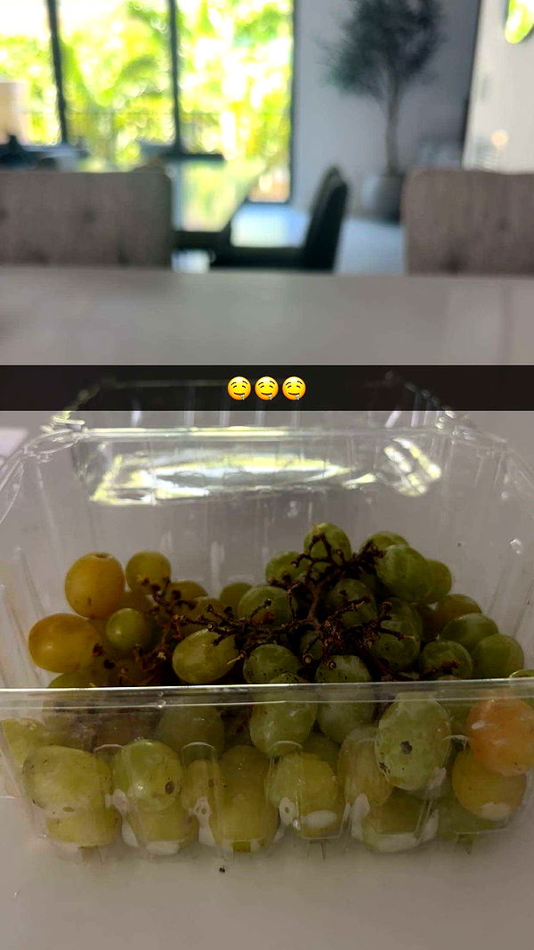 kylaayese image ~ Altpins