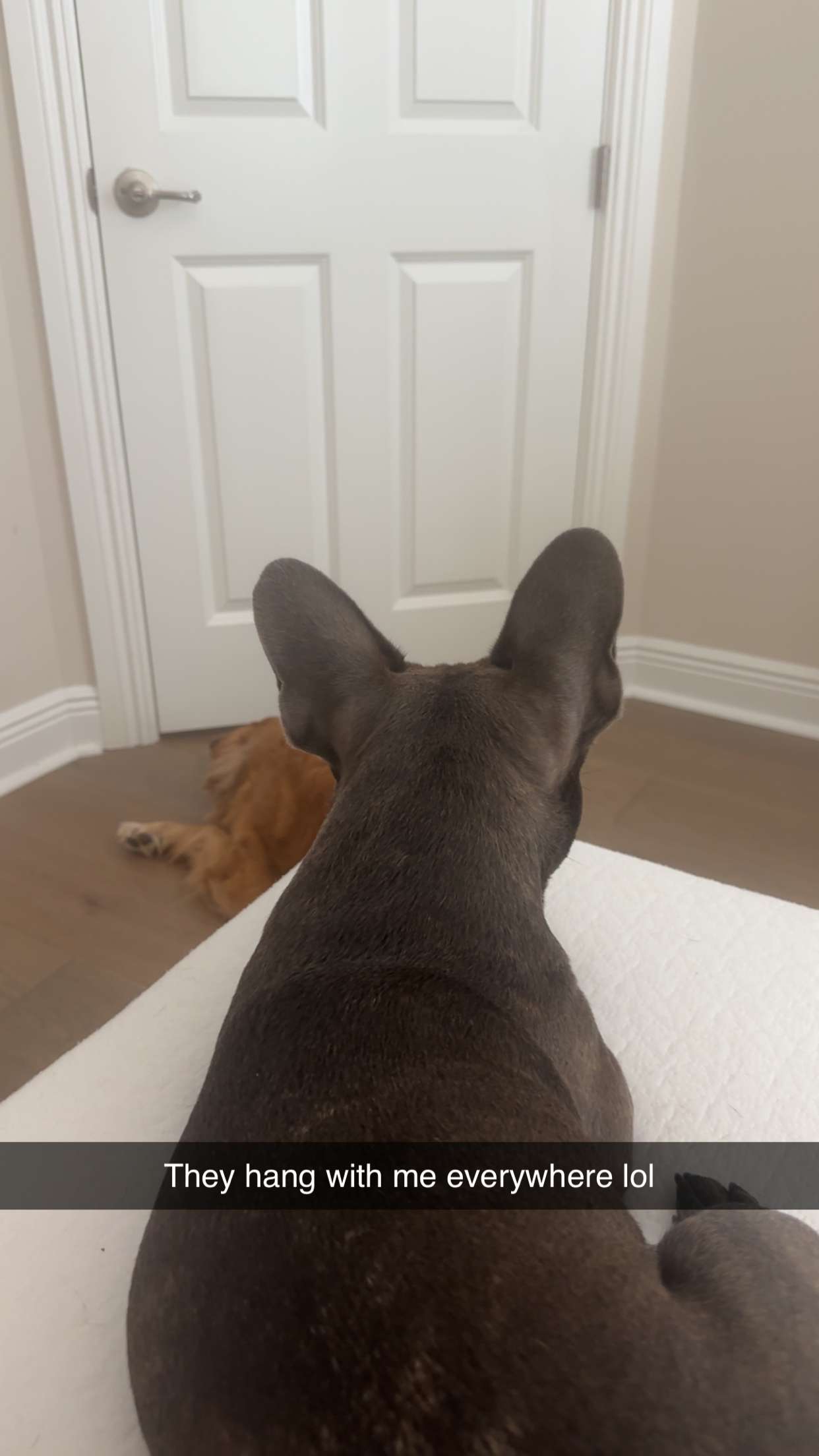 kylaayese snapchat image archive image