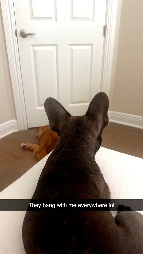 kylaayese image ~ Altpins