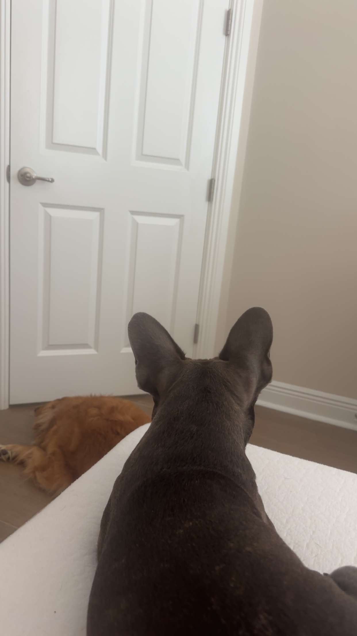 kylaayese snapchat image archive image