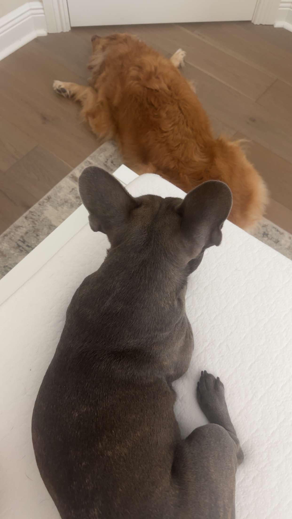 kylaayese snapchat image archive image