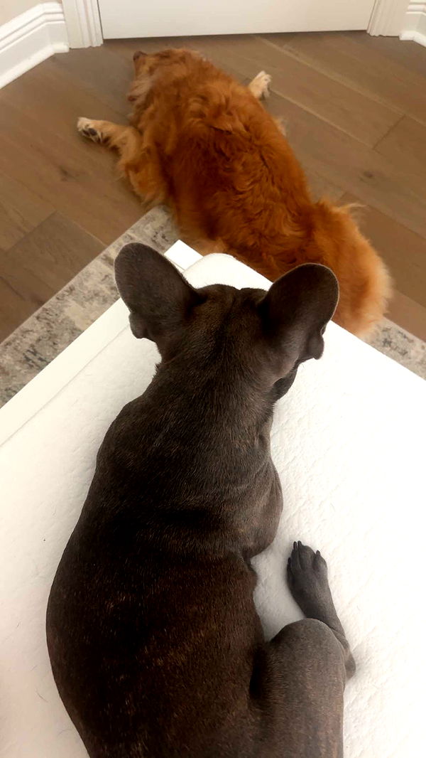 kylaayese image ~ Altpins