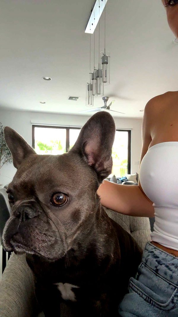 kylaayese image ~ Altpins