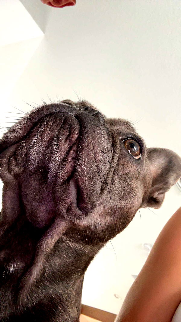 kylaayese image ~ Altpins