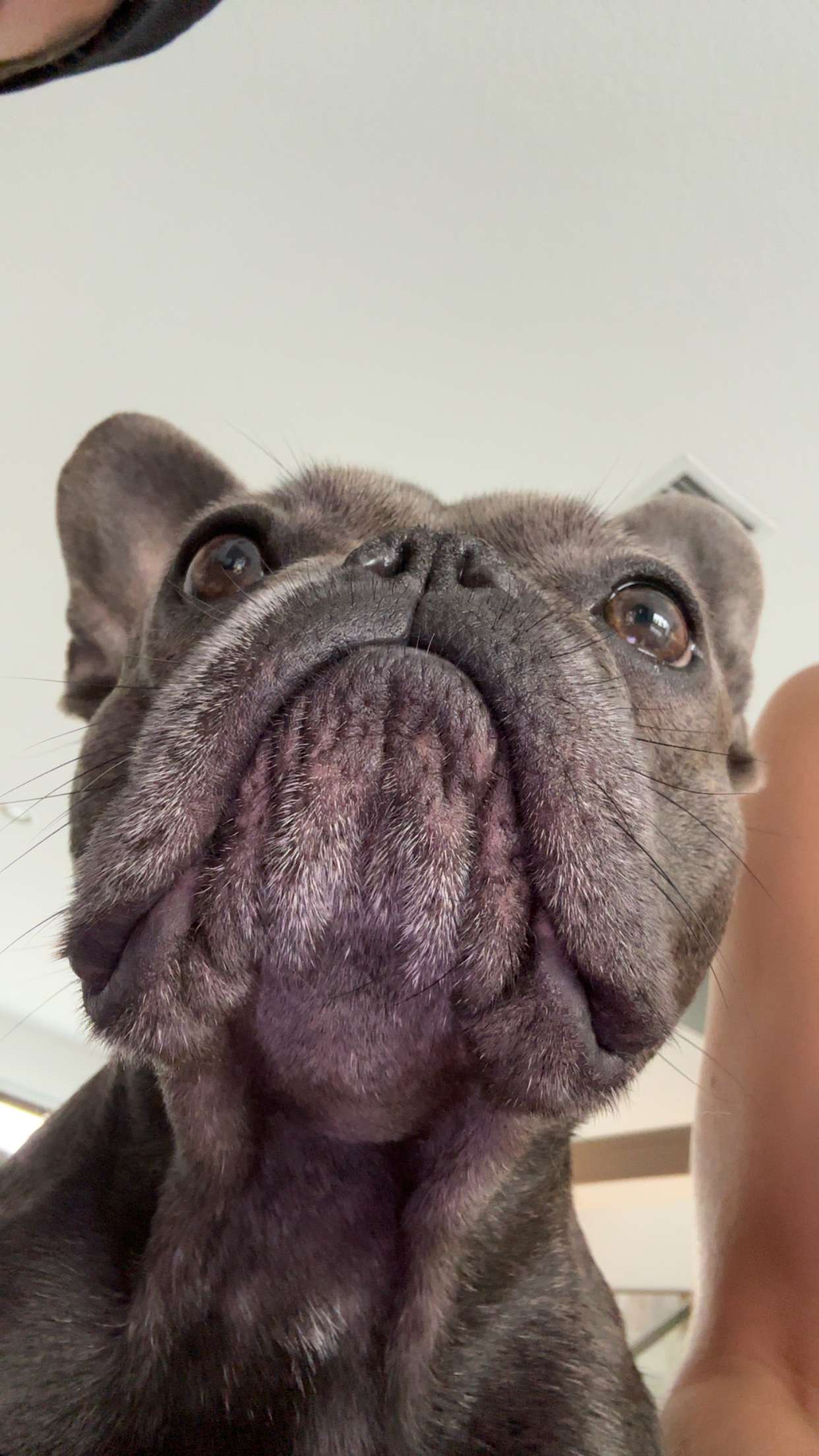 kylaayese snapchat image archive image