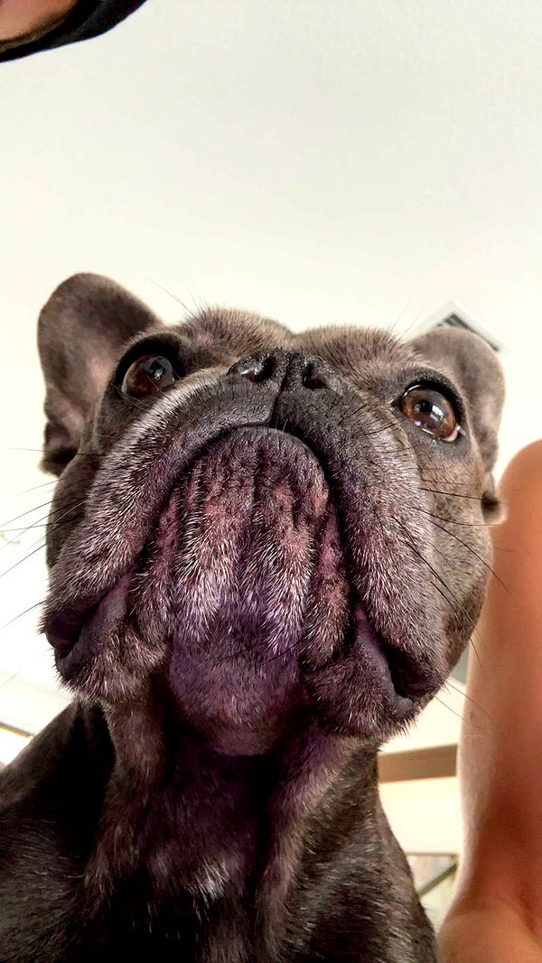 kylaayese image ~ Altpins