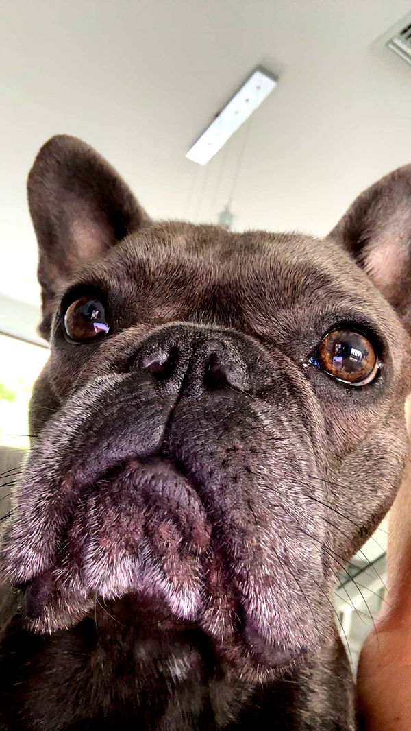 kylaayese image ~ Altpins