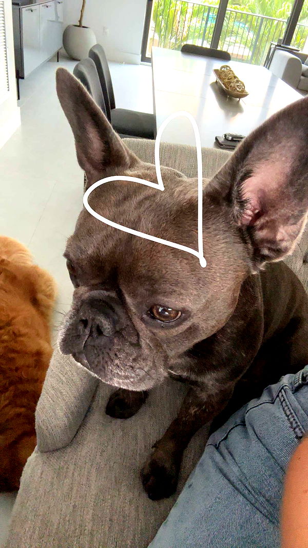 kylaayese image ~ Altpins